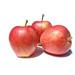 Royal Paradise Garden Rare Apple Fruit Seed “Gala Apple” – Exotic 10 Fruit Seeds for Growing