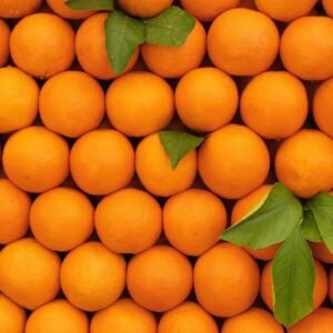 THE GREEN VIEW GARDENS Live Punjabi Kinnow Orange Tree – Sweet, Fresh Fruit Plant for Year-Round Citrus Enjoyment