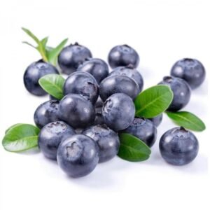 Fresh Premium Blueberry, 125 g Pack
